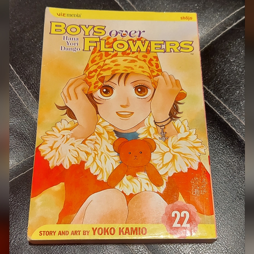 Boys Over Flowers Vol. 22